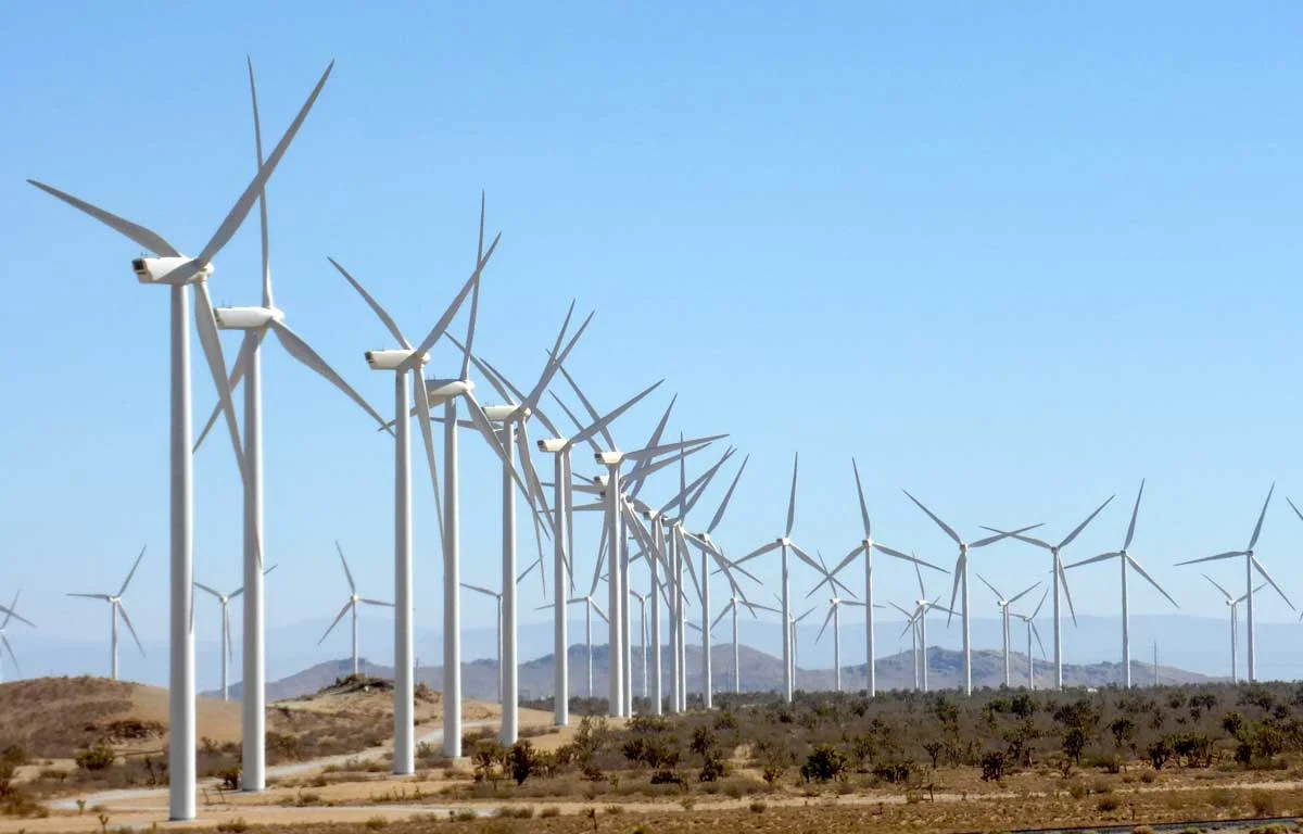 MSEDCL seeks bids to purchase 300 MW of wind power