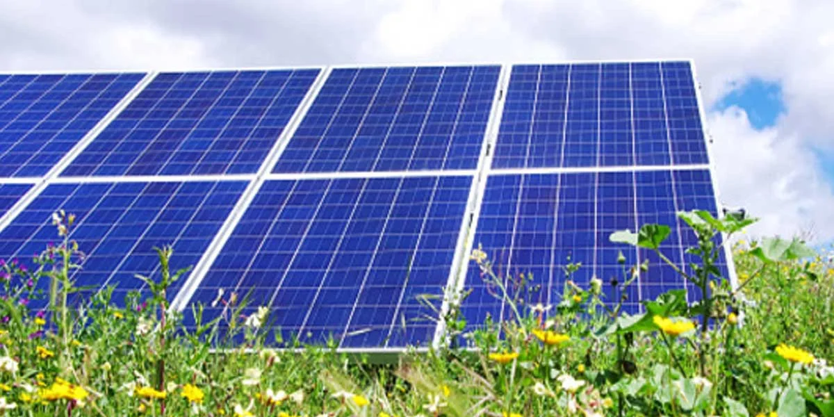 State-owned SJVN bags Rs 70 bn Solar Contract from PSPCL