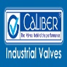 Caliber Valves Pvt Ltd.
