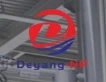 Ningbo Deyang Enpu Technology Co Ltd